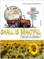 Small Is Beautiful